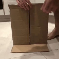 Knock On Wood Orange Cat GIF