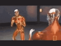 Knockout Body Effect Illustration National Geographic GIF