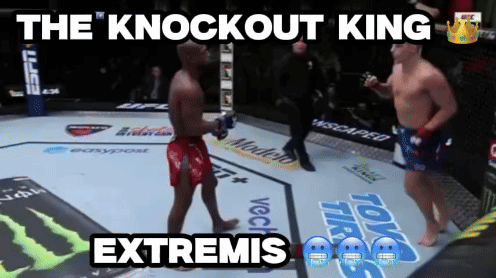 Knockout King Extremis Boxing Ring