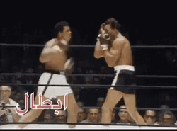Knockout Muhammad Ali Classic Fight GIF