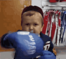 Knockout Punch Little Man Hasbulla GIF