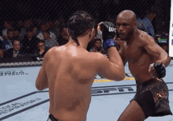 Knockout Punch UFC Kamaru Usman GIF