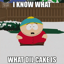 Know That What Olive Oil Cake Is GIF