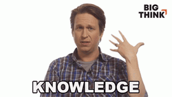 Knowledge By Pete Holmes GIF