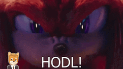 Knuckles Sonic The Hedgehog Hodl GIF