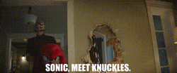 Knuckles The Echidna Introduced In The Movie Sonic GIF