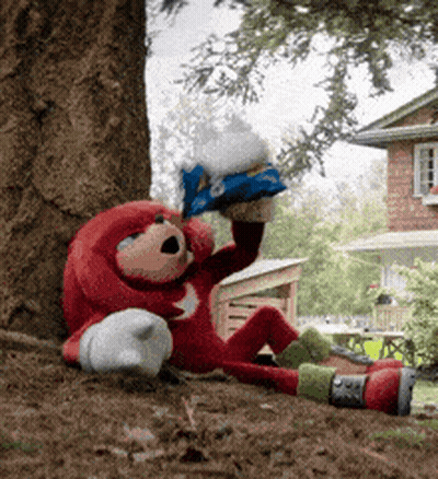 Knuckles The Echidna Is Laying Under A Tree Holding A Bag GIF