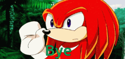 Knuckles The Echidna Saying Bye