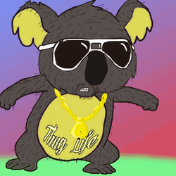 Koala Bear Thug Life GIF