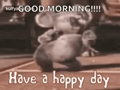 Koala Dancing On Court Saying Good Morning GIF