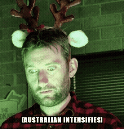 Koala Eating Leaf Enjoy Koalaty Time In Australia Mate GIF