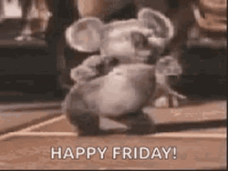Koala Funky Friday Dance
