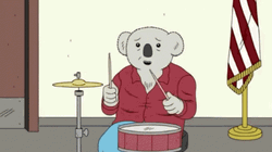 Koala Hammerhead Rim Shot GIF