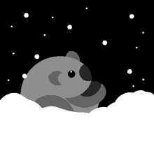 Koala In Snow GIF