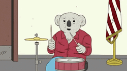 Koala Playing Drums GIF