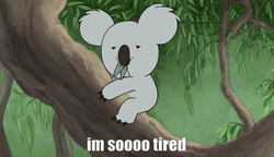 Koala So Tired GIF