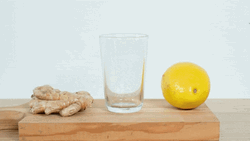 Kombucha All In One Ingredients GIF