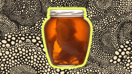 Kombucha Naturally Fermented Tea GIF