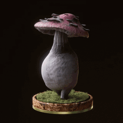 Kombucha Truly Mushroom Tea GIF