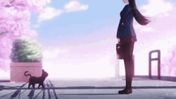 Komi San Cant Communicate With Cats GIF