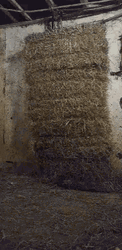 Kool Aid Man Parody Bar Farmer Hays GIF