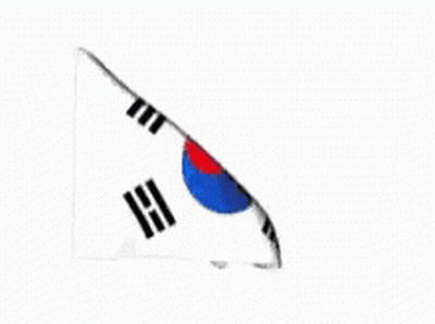 Korean Flag Waving GIF