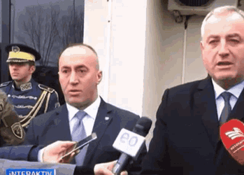 Kosov Kosova GIF