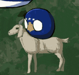 Kosovo Goat GIF