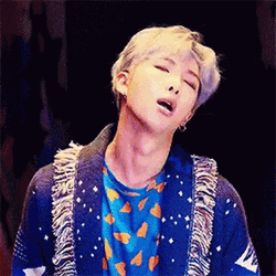 Kpop BTS Rm Cat Filter GIF
