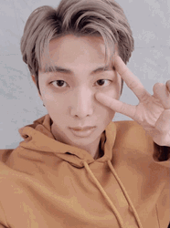 Kpop BTS Rm Hairstyle Peace Sign GIF