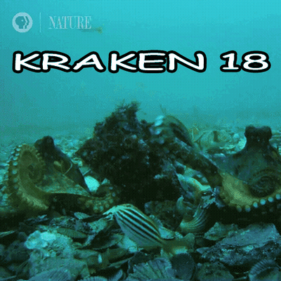 Kraken 18 Poster Giant Octopus Eating Fish GIF