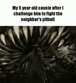 Kraken Pirates Of The Caribbean GIF