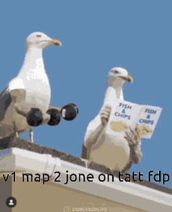 Kripz GIF