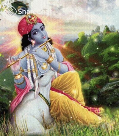 Krishna Playing Flute With Cow GIF