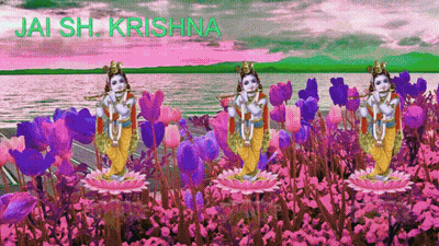 Krishna Playing Flute With Pink And Purple Flowers GIF