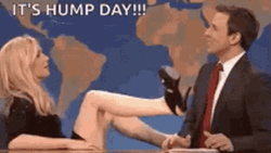 Kristen Wiig Funny Hump Day Moves GIF