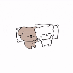 Kristigocouple2024 GIF