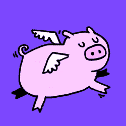 Kstr Kochstrasse GIF