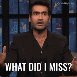Kumail Nanijani What Happened GIF