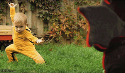 Kung Fu Baby Vs Dinosaur GIF