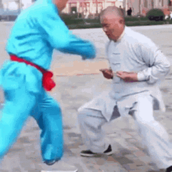 Kung Fu Groin Practice GIF