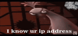 Kung Fu I Know Ur Ip Address GIF