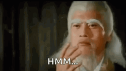Kung Fu Master Hmm GIF