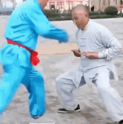 Kung Fu Nuts Ball GIF