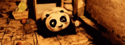 Kung Fu Panda Cub Rolling Over GIF