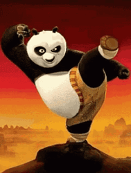 Kung Fu Panda Movie GIF