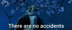 Kung Fu Panda Oogway Giving Advice GIF
