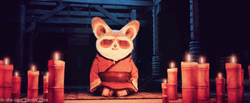Kung Fu Panda Peaceful Master Shifu GIF