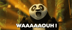 Kung Fu Panda Po Expressing Amazement GIF
