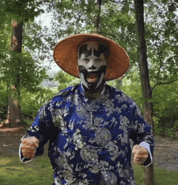 Kung Fu Shaggs Shaggy 2 Dope GIF